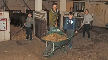 Mercredis de novembre 2019