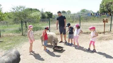 Vacances d'été - 10 au 13 juillet 2017