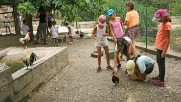 Vacances d'été - 6 au 10 août 2018