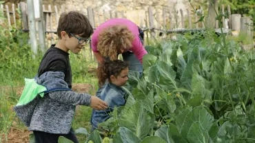Mercredis de mai 2018