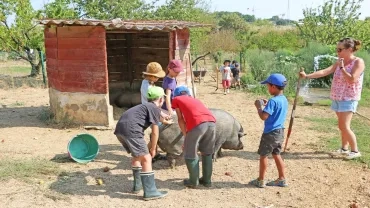 Vacances d'été - 26 au 30 août 2019