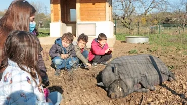 Mercredis de novembre 2020