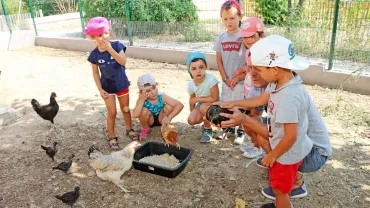 Vacances d'été - 26 au 30 août 2019