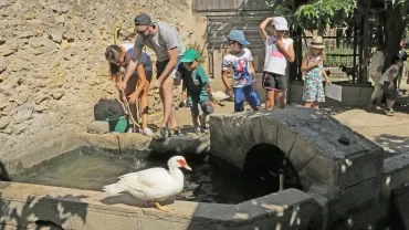 Vacances d'été - 16 au 20 juillet 2018