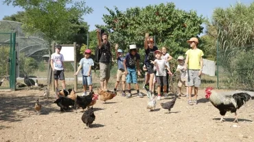 Vacances d'été - 17 au 21 juillet 2017