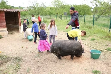 Vacances de printemps - 29 avril au 3 mai 2019