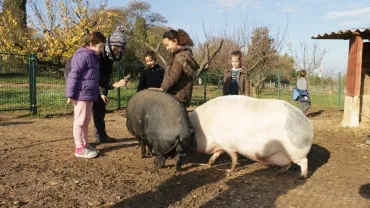 Mercredis de novembre 2016