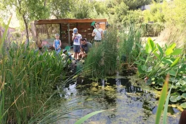 Vacances d'été - 15 au 19 juillet 2019