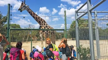 Vacances d'été - 26 au 30 août 2019