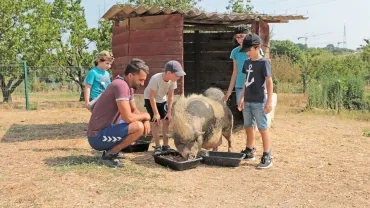 Vacances d'été - 22 au 26 juillet 2019