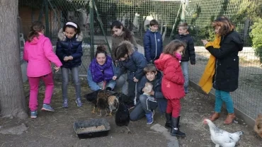 Mercredis de janvier 2017