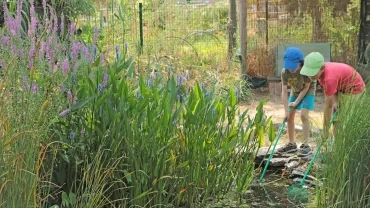 Vacances d'été - 22 au 26 juillet 2019