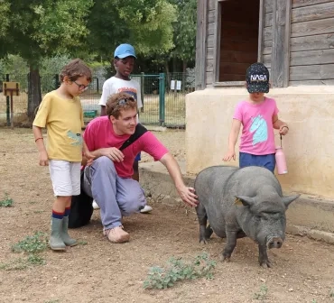 un groupe d'enfants et leur animateur caressent un cochon