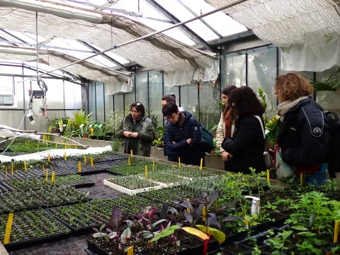 Un groupe d'adultes est dans une serre à bouture