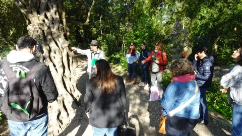 un animateur présente un arbre à un groupe d'adultes 