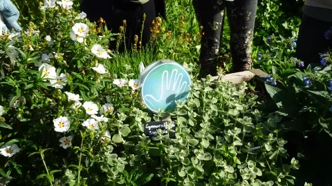 Un carré potager avec des plantes de différentes textures et un panneau avec une main