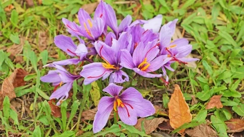 Vacances d'automne - 28 au 31 octobre 2019