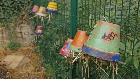Mercredis d'avril 2019