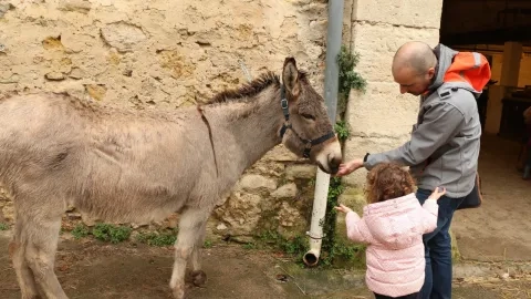 Matinée Parents 02-04-2016