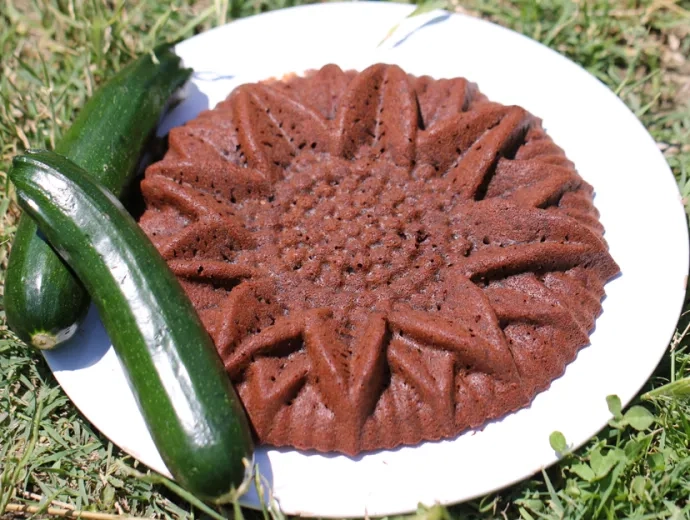 Gâteau marron et deux courgettes sur une assiette blanche posée sur de l'herbe