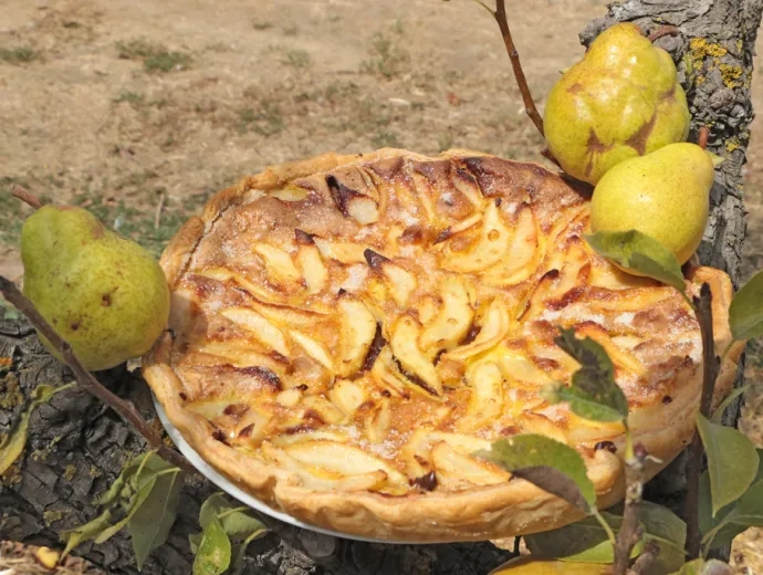 Une tarte aux poires et au chocolat est installée dans un poirier avec des poires autour
