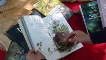 Gros plan sur un livre sur les oiseaux