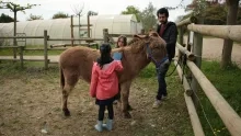 Deux enfants pansent l’âne avec leur animateur dans le parc