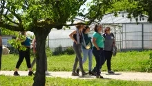 un groupe d'adulte marche sur une allée dans un jardin