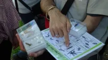 Un animateur montre un un insecte mort dans une boite et l'identifie avec une clé de détermination