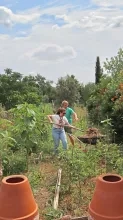 Une adulte et un animateur paillent un potager