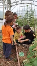 un groupe d'enfants et leur animatrice observent une gousse de petit pois