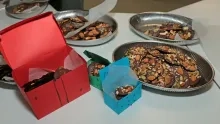 Vacances de Noël - 20 au 24 décembre 2021