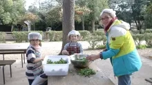 Mercredis de mars 2017