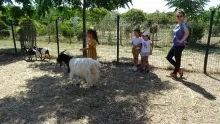 Vacances d'été - 19 au 23 juillet 2021