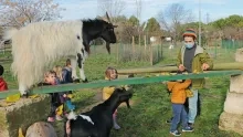 Vacances de Noël - 21 au 24 décembre 2020