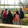 Un agent et un groupe d'adulte observent le jardin des possibles de l'Écolothèque
