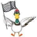 Canard avec un drapeau de course