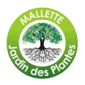 Image ronde d'un arbre garni de feuilles vertes et de longues racines