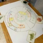 calendrier des semis en forme de circulaire dessiné sur une feuille A3. Quelques photos de légumes autour