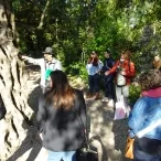 un animateur présente un arbre à un groupe d'adultes 