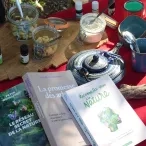 Diverses objets sur une table : théière, huiles essentielles, livres...