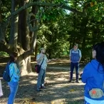 Un animateur présente un arboretum à un groupe d'adulte