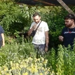 Trois adultes sentent des plantes aromatiques devant un jardin des sens