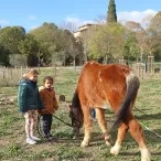 deux enfant tiennent un cheval