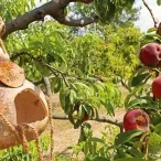 Vacances d'été - 29 juillet au 2 août 2019