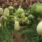 Vacances d'automne - 22 au 26 octobre 2018