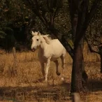 Vacances de Noël - 26 au 29 décembre 2023