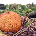 Vacances d'automne - 23 au 27 octobre 2023