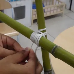 gros plan sur un nœud