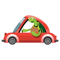 Tortue en voiture